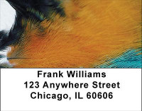 Fun Feathers Address Labels | LBABS-05