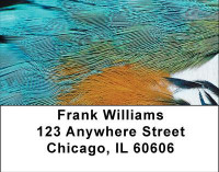 Fun Feathers Address Labels | LBABS-05