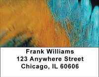 Fun Feathers Address Labels | LBABS-05