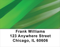 Depths Of Green Address Labels | LBABS-65