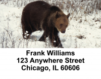 Bears in the Wild Address Labels | LBANI-10