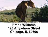 Bears in the Wild Address Labels | LBANI-10