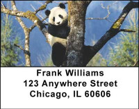 Panda Bears Address Labels | LBANI-11