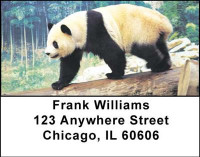 Panda Bears Address Labels | LBANI-11