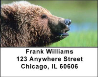 Grizzly Bears Address Labels | LBANI-12