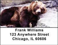 Grizzly Bears Address Labels | LBANI-12