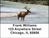 More Elk Address Labels | LBANI-23