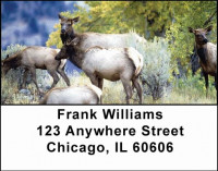 More Elk Address Labels | LBANI-23