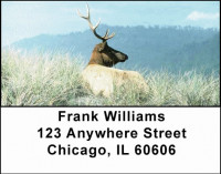 More Elk Address Labels | LBANI-23