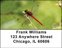 Dragonflies Address Labels