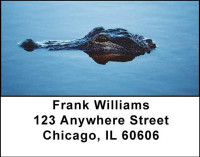 Alligators and Crocodiles Address Labels | LBANI-43
