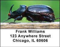 Beetles Address Labels | LBANI-45
