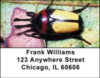 Beetles Address Labels | LBANI-45