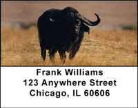 Buffalo Address Labels | LBANI-49