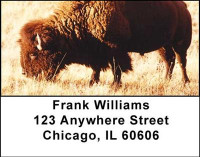 Buffalo Address Labels | LBANI-49