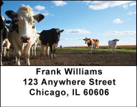 Cow Address Labels