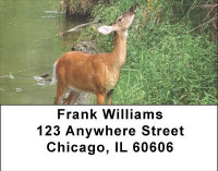 Deer in Four Seasons Address Labels | LBANI-59