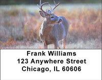 Deer in Four Seasons Address Labels | LBANI-59