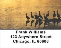 Ducks on a Golden Pond Address Labels | LBANI-65