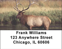 Elk Racks Address Labels | LBANI-71