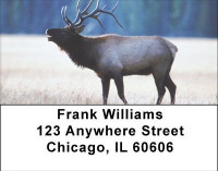 Elk Racks Address Labels | LBANI-71
