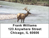 Elk in the High Country Address Labels | LBANI-72