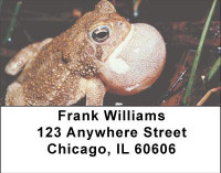 Funky Frogs Address Labels | LBANI-76