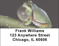 Funky Frogs Address Labels | LBANI-76