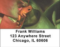 Funky Frogs Address Labels | LBANI-76