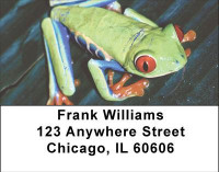 Eyes of the Frog Address Labels | LBANI-77
