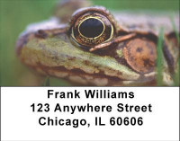 Eyes of the Frog Address Labels | LBANI-77