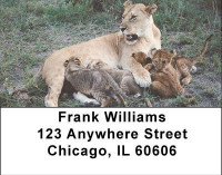 The Jungle Royals Address Labels | LBANI-96