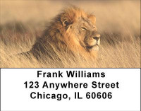 The Jungle Royals Address Labels | LBANI-96