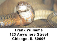 Slithering Serpents Address Labels | LBANJ-04