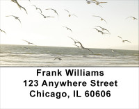 Beach Birds Address Labels | LBANJ-15