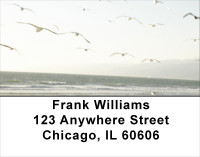 Beach Birds Address Labels | LBANJ-15