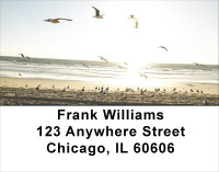Beach Birds Address Labels | LBANJ-15