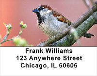 Sparrow Inspirations Address Labels | LBANJ-19