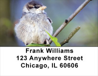 Sparrow Inspirations Address Labels | LBANJ-19