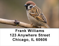 Sparrow Simplicity Address Labels | LBANJ-20
