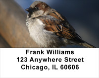 Sparrow Simplicity Address Labels | LBANJ-20