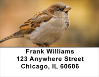 Sparrows At Daybreak Address Labels