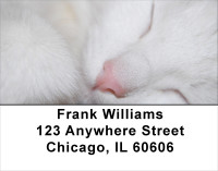 Total Bliss Address Labels