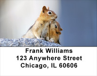 Baby Chipmunk With Mother Address Labels