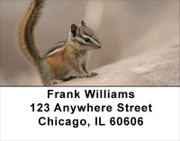 Chipmunk Portraits Address Labels | LBANJ-26