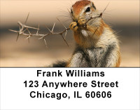 Chipmunk Portraits Address Labels | LBANJ-26