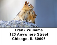 Chipmunk Portraits Address Labels | LBANJ-26
