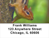 Chipmunks Everywhere Address Labels | LBANJ-27