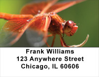 Dragonfly Maneuvers Address Labels