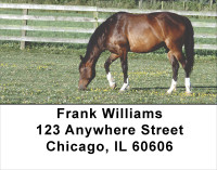 Grazing Green Pastures Horse Address Labels | LBANJ-36